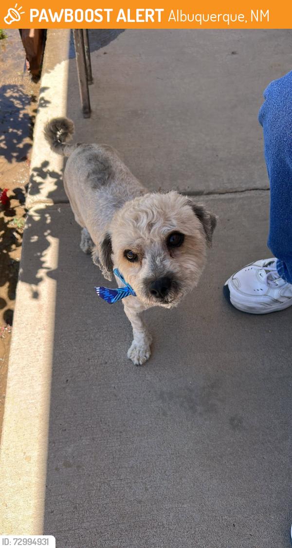 Found/Stray Male Dog last seen West Bluff Park, Albuquerque, NM 87120