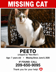 Lost Male Cat last seen Moongate Way, Roseville, CA 95747, Roseville, CA 95747