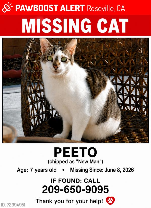Lost Male Cat last seen Moongate Way, Roseville, CA 95747, Roseville, CA 95747