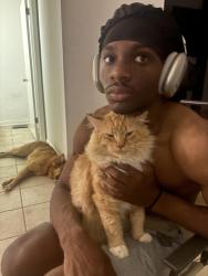 Lost Male Cat last seen Montreal rd , Clarkston, GA 30021