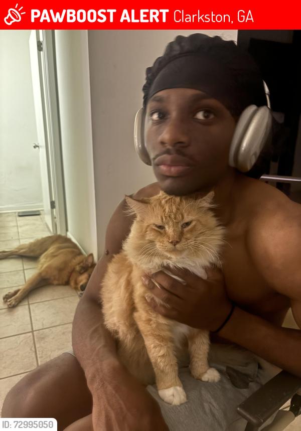 Lost Male Cat last seen Montreal rd , Clarkston, GA 30021