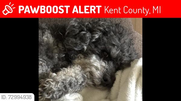 Lost Male Dog last seen 10 mile and nugent, Kent County, MI 49341