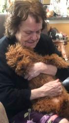 Lost Female Dog last seen Near Cambridge dr Providence village, Providence Village, TX 76227