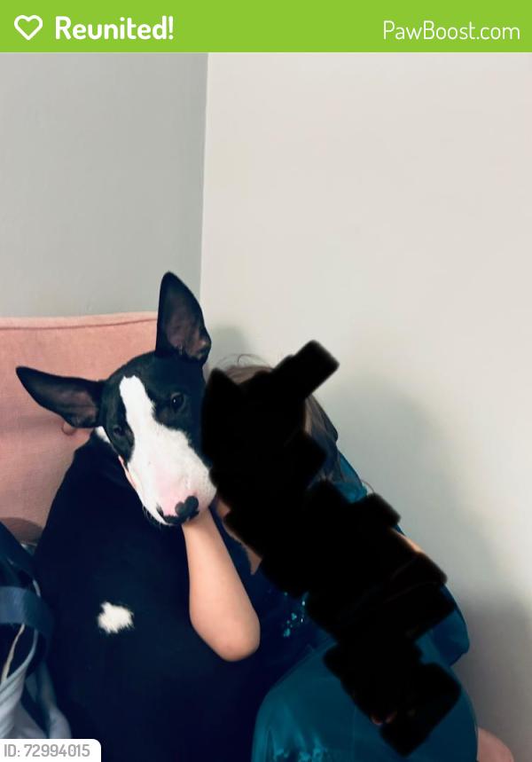 Reunited Male Dog last seen CVS , Kansas City, MO 64111