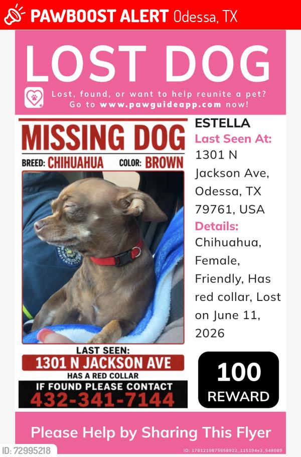 Lost Female Dog last seen Near N Jackson ave , Odessa, TX 79761