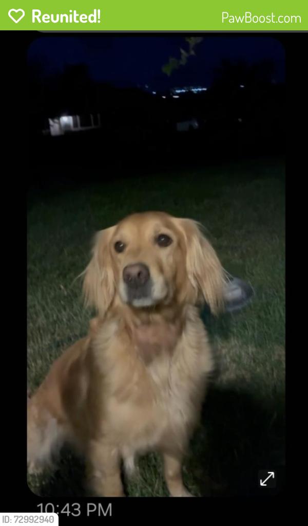 Reunited Female Dog last seen Give Mile and Columbia, Southwest Ada County Alliance, ID 83709