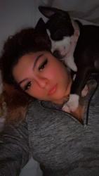 Lost Female Dog last seen Near SH-1604 Loop Elmendorf, TX  78112 United States, Elmendorf, TX 78223