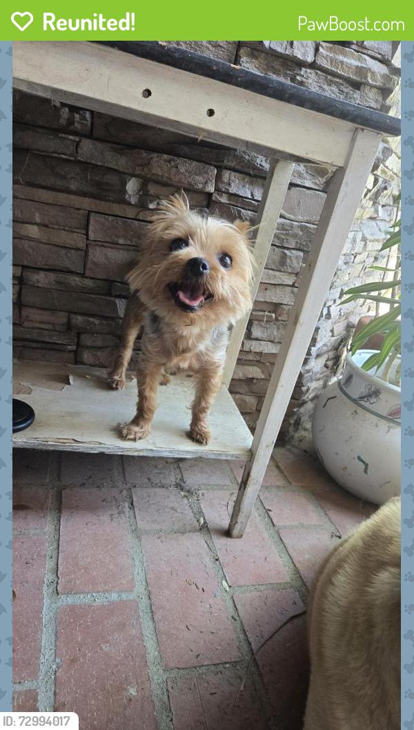 Reunited Female Dog last seen Lakeside/Live Oak Dr. , Riverside, CA 92509