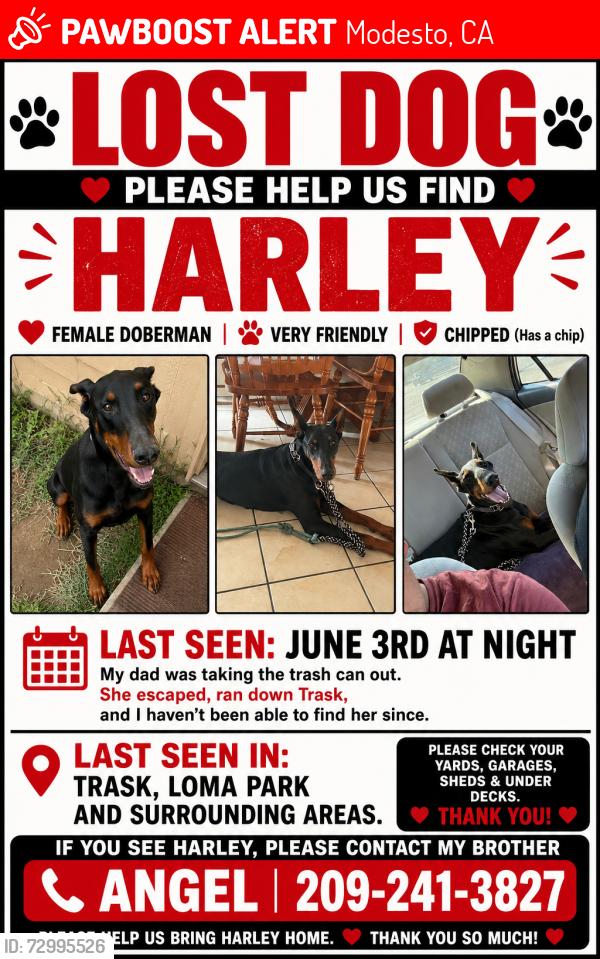 Lost Female Dog last seen Trask, Modesto, CA 95354
