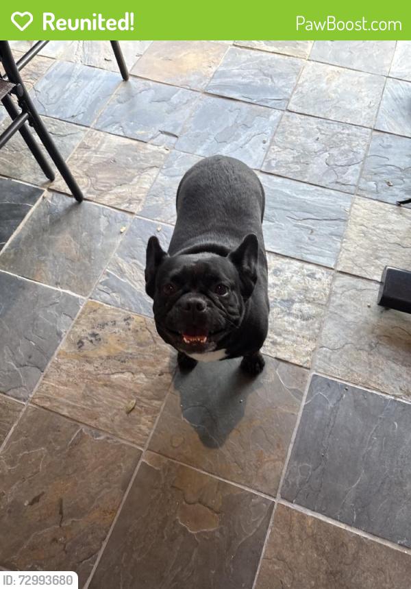 Reunited Unknown Dog last seen Village Ridge Dr, Tomball, TX 77375, USA, Tomball, TX 77375