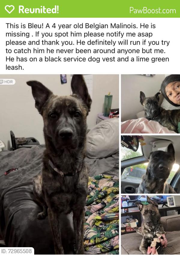 Reunited Male Dog last seen Washington ave/ st James , Evansville, IN 47714
