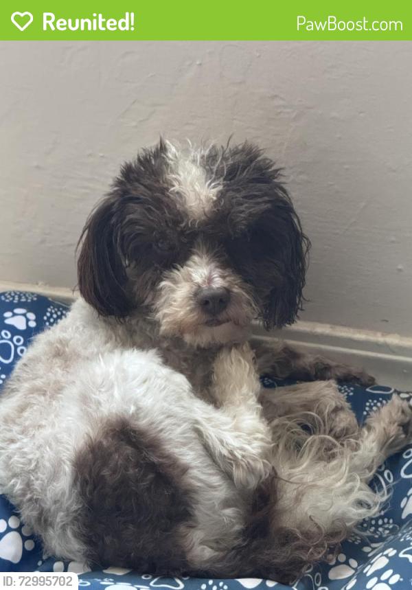 Reunited Male Dog last seen Near N Ann Arbor Ave, Oklahoma City, OK 73127, USA, Oklahoma City, OK 73127