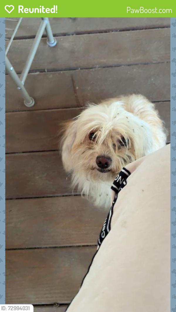 Reunited Unknown Dog last seen Walmart, Jacksonville, FL 32216