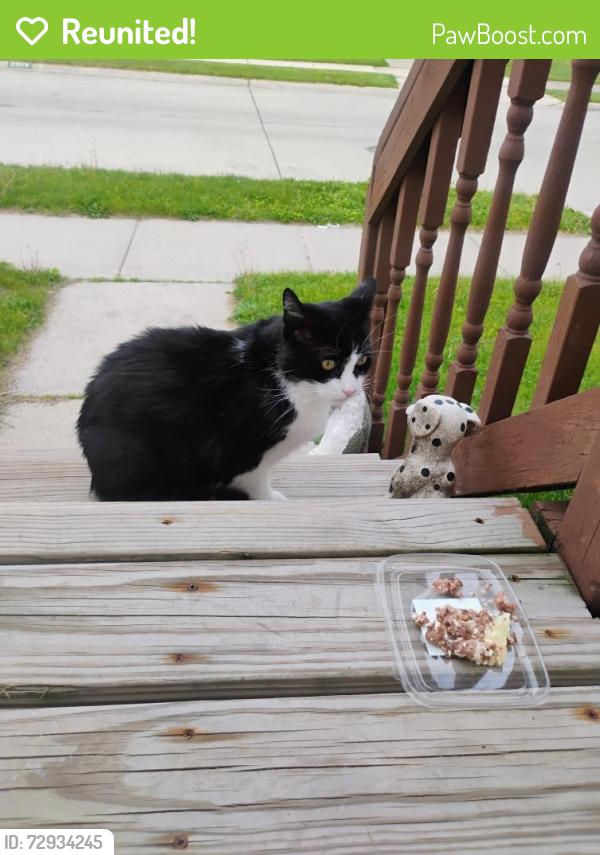 Reunited Male Cat last seen 10 mile rd & Hayes, Roseville, MI 48066