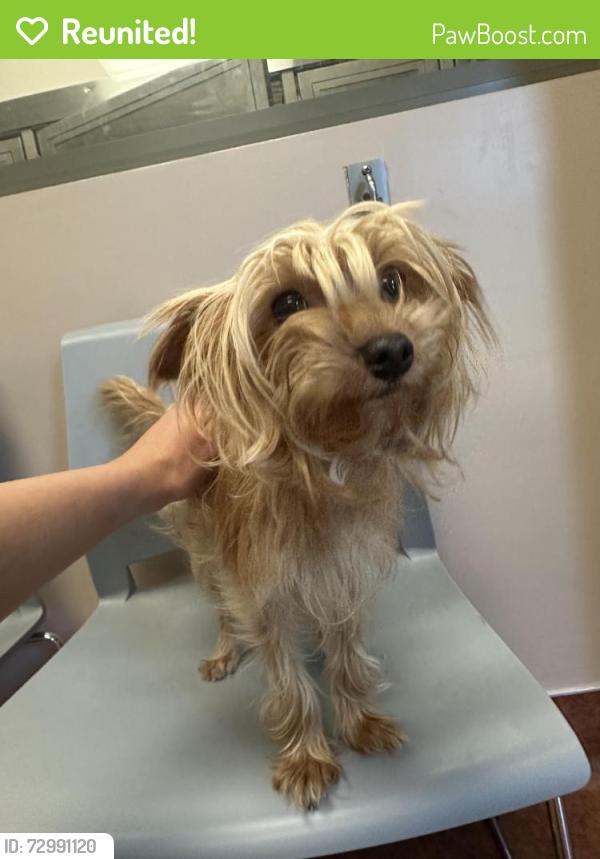 Reunited Female Dog last seen Contra Costa County Animal Shelter, Contra Costa County, CA 94708