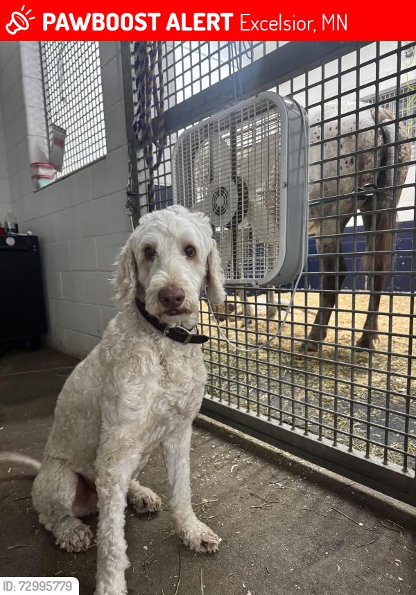 Lost Male Dog last seen Near lake Minnetonka mapleridge ln neighborhood , Excelsior, MN 55331