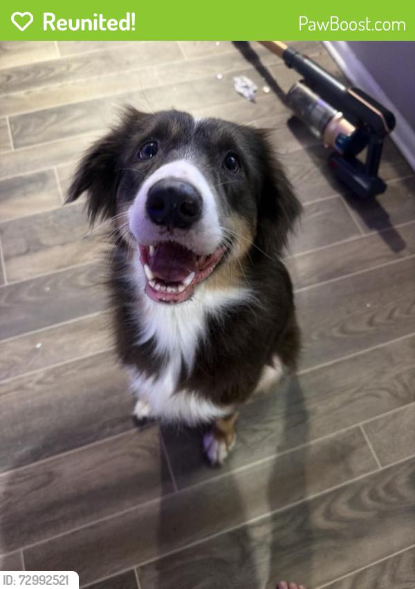 Reunited Female Dog last seen On Riverside Dr, Coral Springs, FL 33065