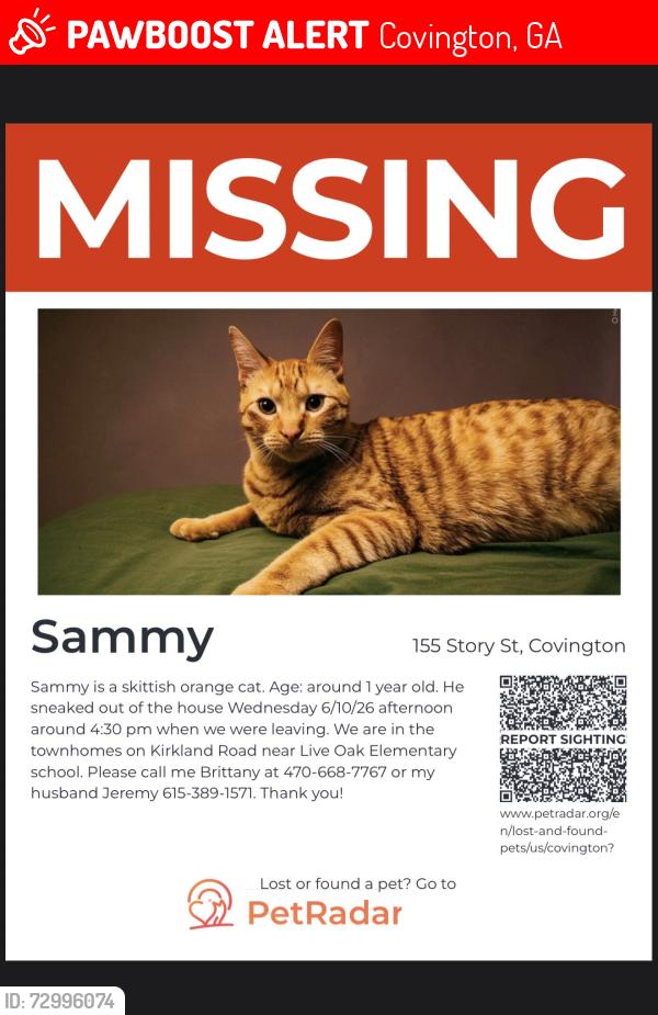 Lost Male Cat last seen  community , Covington, GA 30016