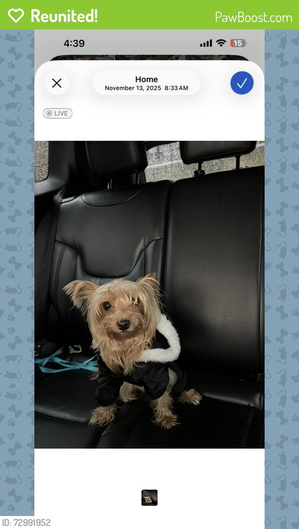 Reunited Female Dog last seen Tilden steam train , Berkeley, CA 94708