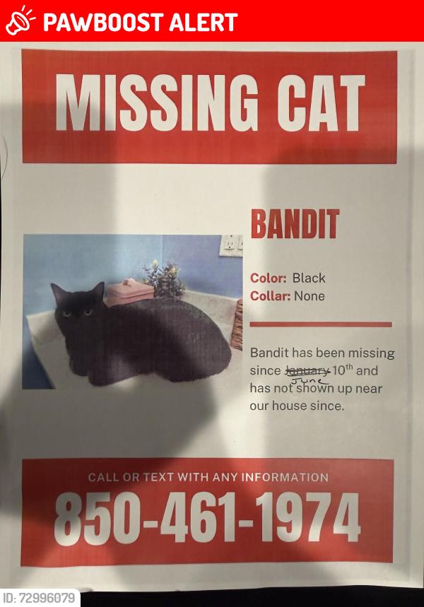 Lost Male Cat last seen Grayton Bayou, Santa Rosa Beach, FL 32459