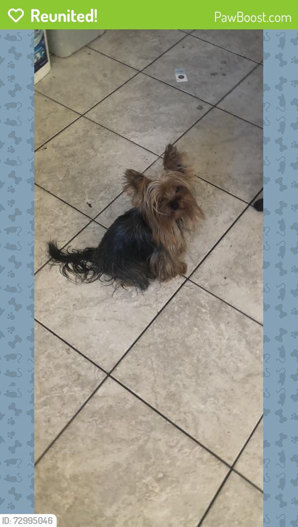 Reunited Female Dog last seen Richard way , Ceres, CA 95307