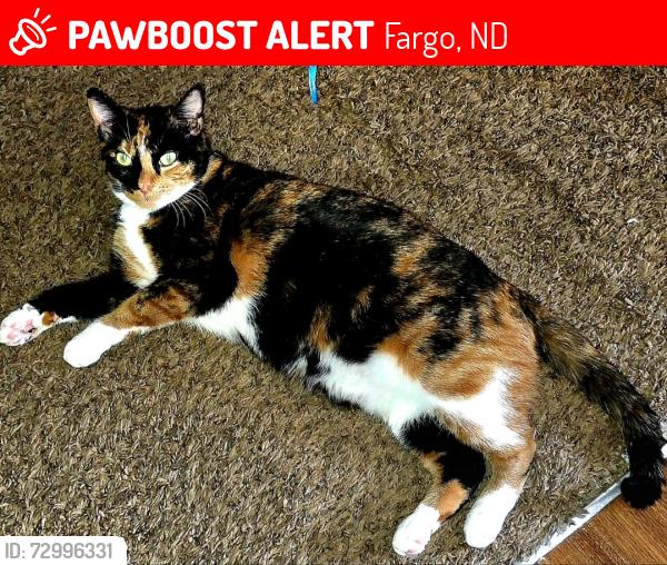 Lost Female Cat last seen 34th Ave S, Fargo, ND 58104