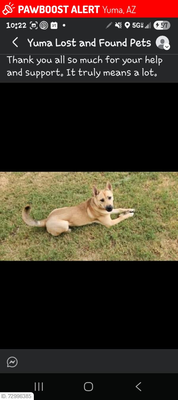 Lost Female Dog last seen Near s 32nd ave, Yuma, AZ 85365