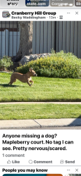 Found/Stray Unknown Dog last seen Cranberry hill neighborhood , Draper, UT 84020