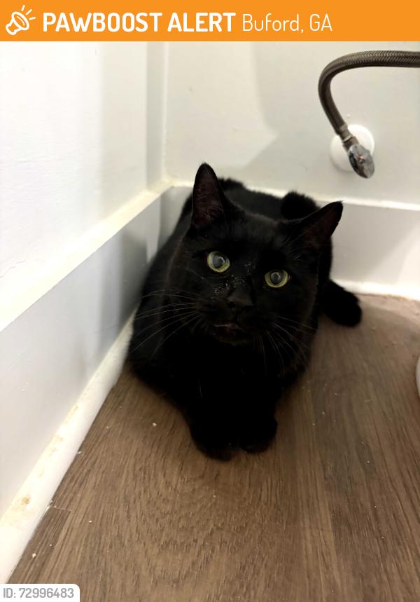 Found/Stray Unknown Cat last seen Mall of Georgia , Buford, GA 30515