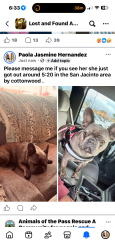 Lost Female Dog last seen State st San Jacinto , San Jacinto, CA 92582