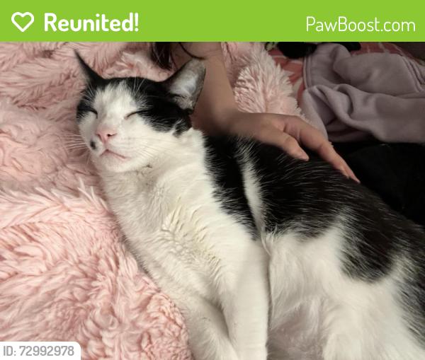 Reunited Female Cat last seen Near Golf Club Dr, Crosby, TX 77532, USA, Crosby, TX 77532