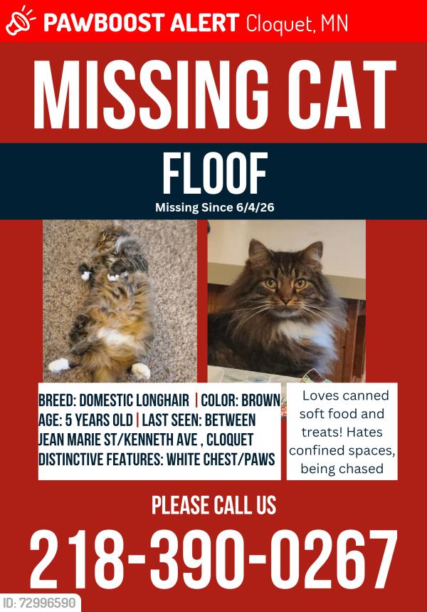 Lost Male Cat last seen North Road and Jean Marie Street, Cloquet, MN 55720