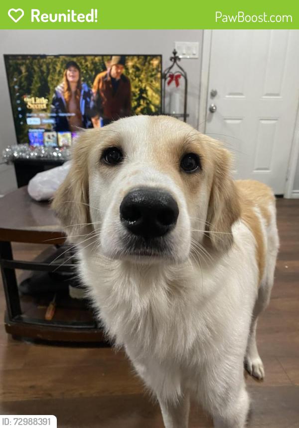 Reunited Female Dog last seen Oaklawn Elementary School , Fort Worth, TX 76119