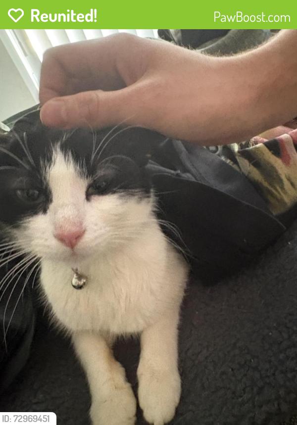 Reunited Female Cat last seen There’s a red bridge around kings bridge in HD1, West Yorkshire, England HD1 3FN