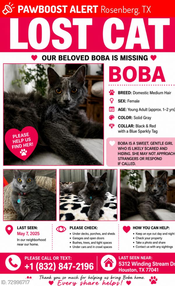 Lost Female Cat last seen Sendero , Rosenberg, TX 77469