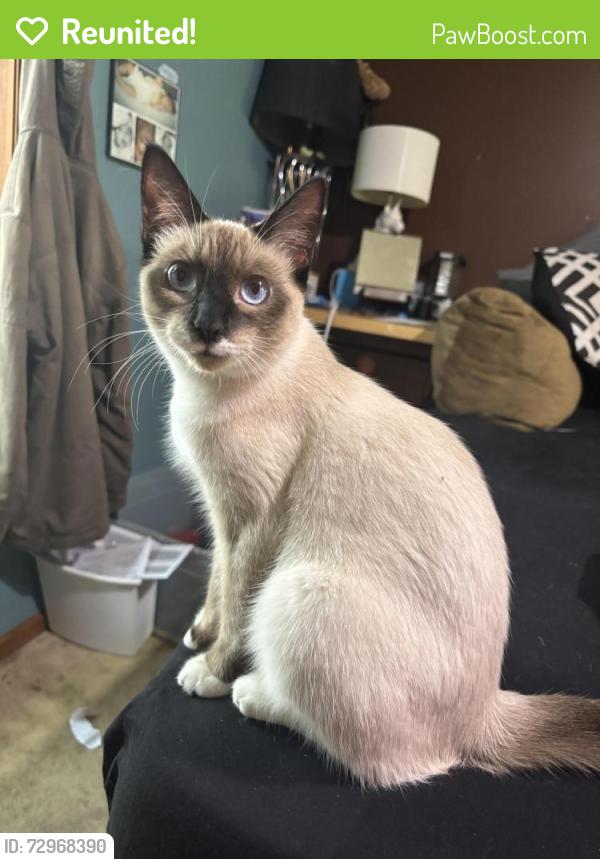 Reunited Female Cat last seen School blvd, Monticello, MN 55362