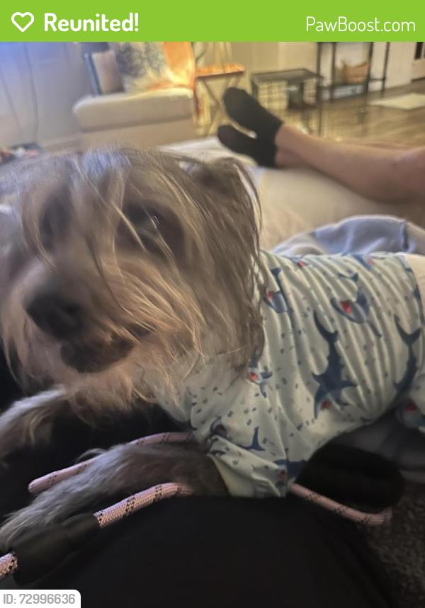 Reunited Male Dog last seen Universal City near Cibolo nature park, Universal City, TX 78148