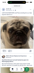 Lost Male Dog last seen Near and federal , Denver, CO 80221
