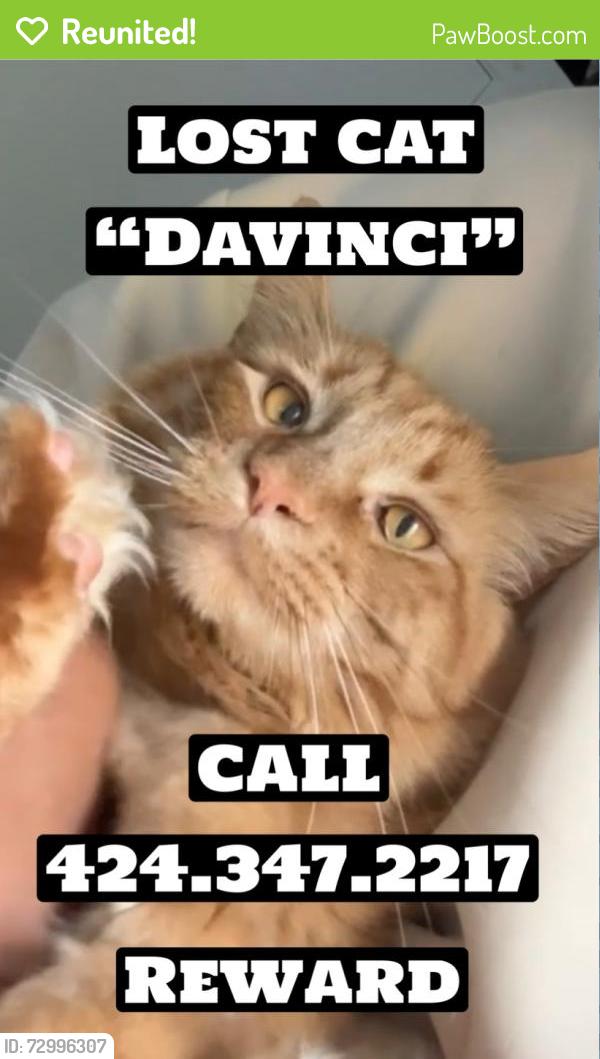 Reunited Male Cat last seen Irvine blvd and sand canyon, Irvine, CA 92620