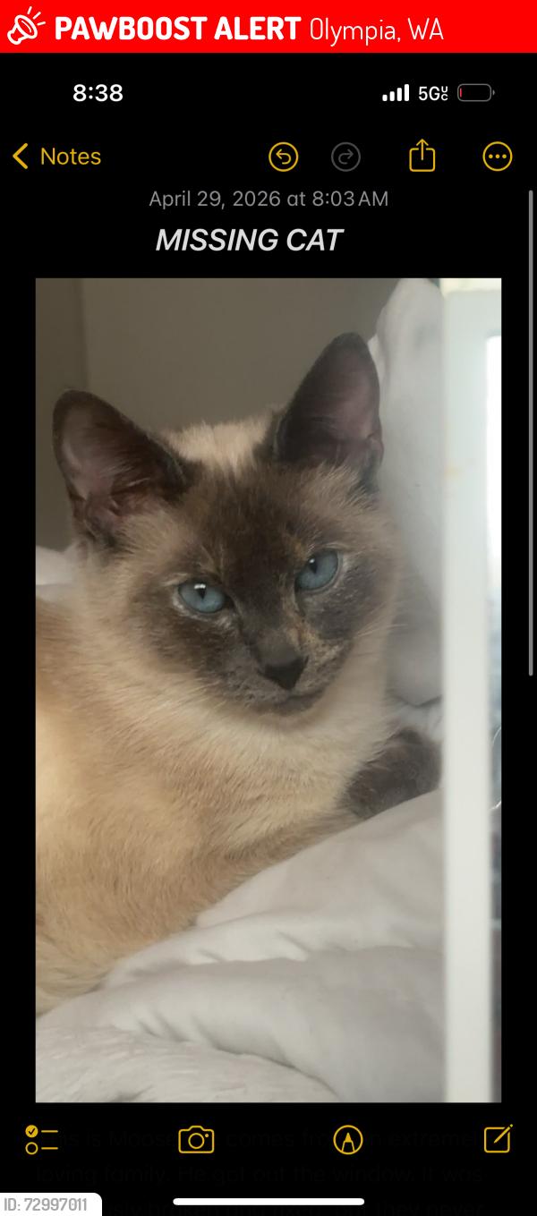 Lost Male Cat last seen Near fern st sw oly , Olympia, WA 98502