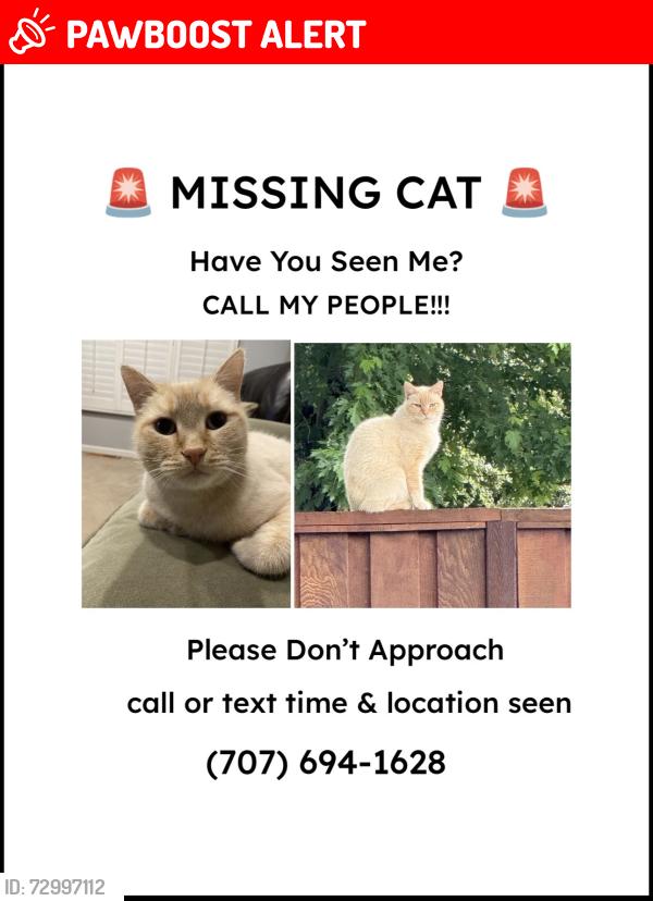 Lost Male Cat last seen Firelight Dr, Carriage LN, El Mercado PKWY, Faught Dr. , Larkfield-Wikiup, CA 95403