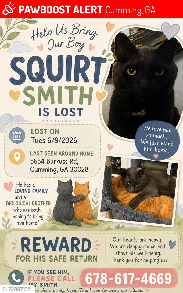 Lost Male Cat last seen Near Burruss Rd, Cumming, GA 30028
