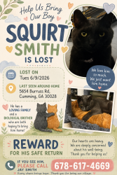 Lost Male Cat last seen Near Burruss Rd, Cumming, GA 30028