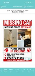 Lost Male Cat last seen Tilehurst road , Berkshire, England RG30