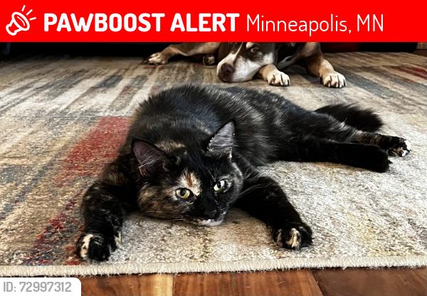 Lost Female Cat last seen West 110th street and Russell Ave South west Bloomington , Minneapolis, MN 55431