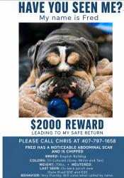Lost Male Dog last seen SR 60 / 630, Frostproof, FL 33843