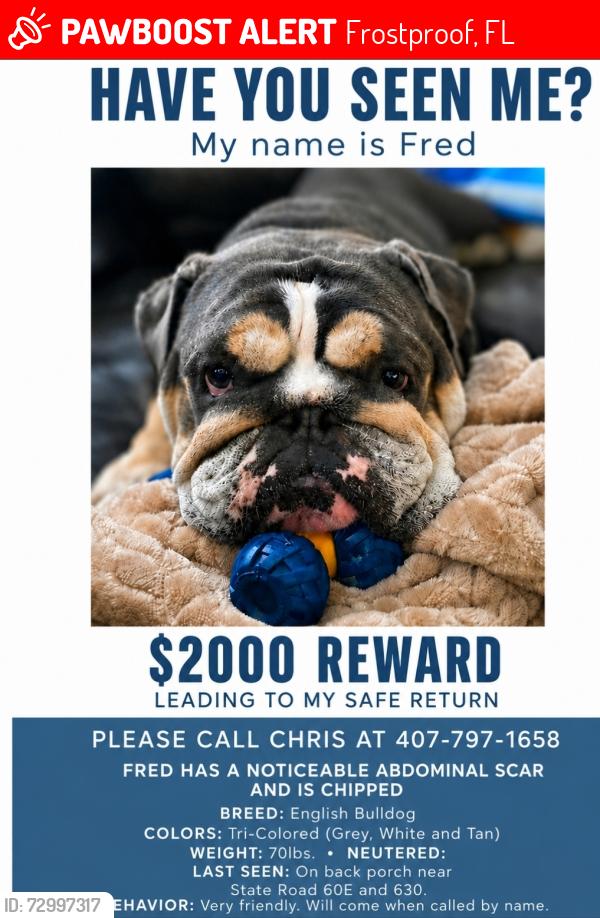 Lost Male Dog last seen SR 60 / 630, Frostproof, FL 33843
