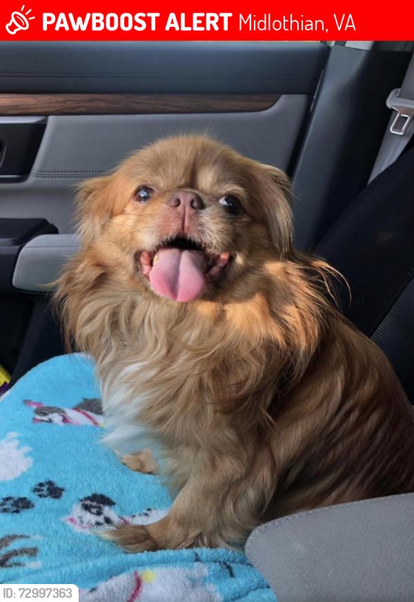 Lost Male Dog last seen Sunfield Court, Midlothian, VA 23112