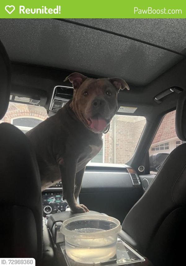 Reunited Male Dog last seen Koerner road and Southport Rd, Peoria, IL 61604