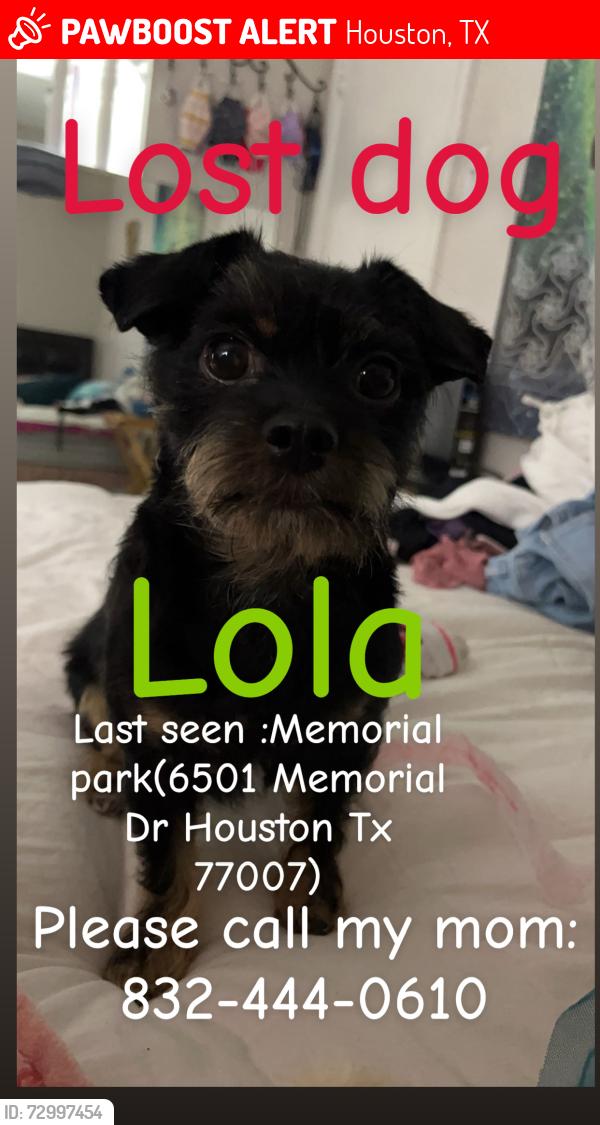 Lost Female Dog last seen Memorial park , Houston, TX 77007
